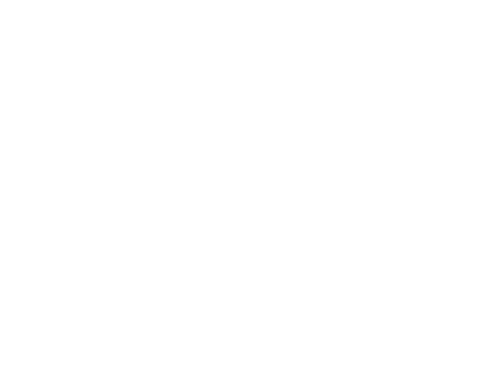 BASTIGA logo